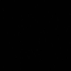 Meet your Posher, Kaleb